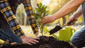 Weekendul acesta, 15.000 de copaci vor fi plantați în Parcul Tineretului prin metoda inovatoare Miyawaki