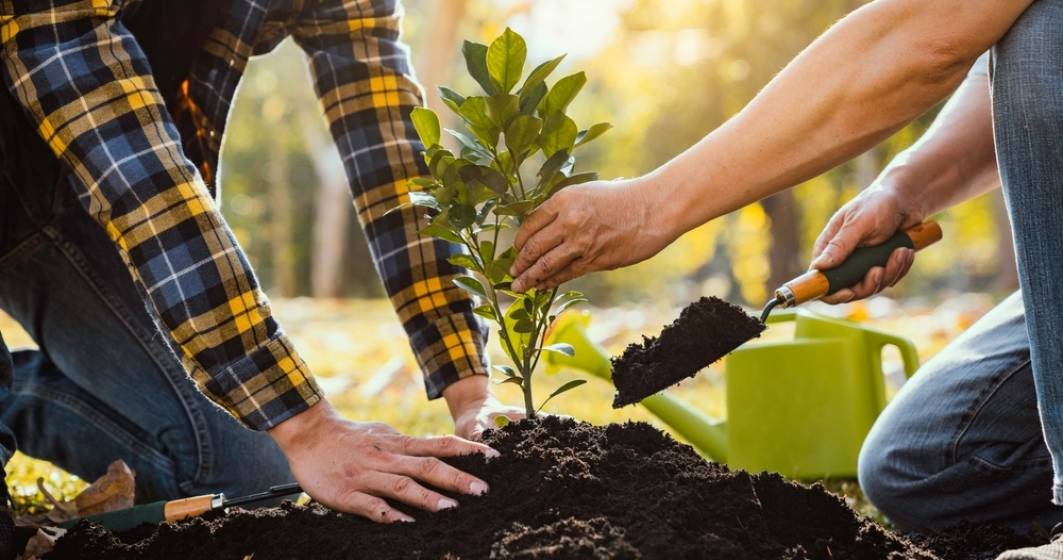 Weekendul acesta, 15.000 de copaci vor fi plantați în Parcul Tineretului prin metoda inovatoare Miyawaki