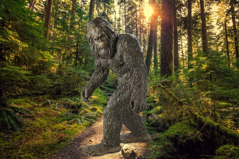 Americanii din California vor ca Bigfoot să fie animalul lor național. Istoria legată de animalul mitologic a devenit parte din cultura lor