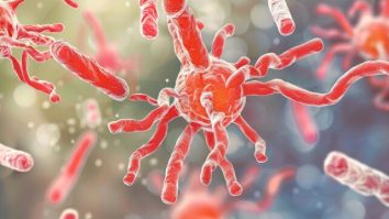 Bacteriile pot contribui la micșorarea tumorilor prin acțiuni directe asupra celulelor canceroase. Ce impact au aceste terapii