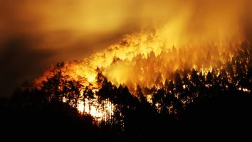 Japonia arde pentru a opta zi: Țara se confruntă cu cel mai mare incendiu de vegetație din 1975