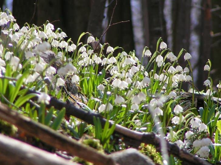 Începutul primăverii nu vine cu vreme caldă. Primul weekend al lunii martie aduce un cer acoperit de nori și ploi