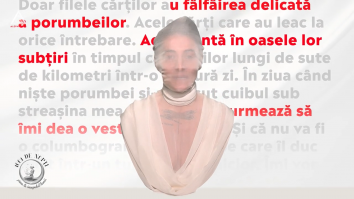 1001 de nopți. Columbograma