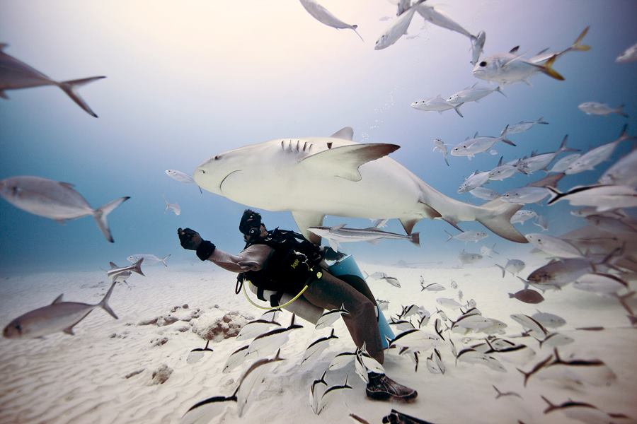 Unde îți programezi vacanța pentru scuba? Vizitează lagunele cristaline din Caraibe, unde înoți alături de rechinii-balenă