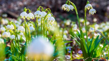 De astăzi te bucuri de soare și o încălzire a vremii în toată țara. Maximele vor fi cu 10°C peste normal