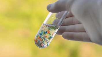 Elevi din Cluj au fost premiați în Ungaria: Ce robot inovator au creat tinerii