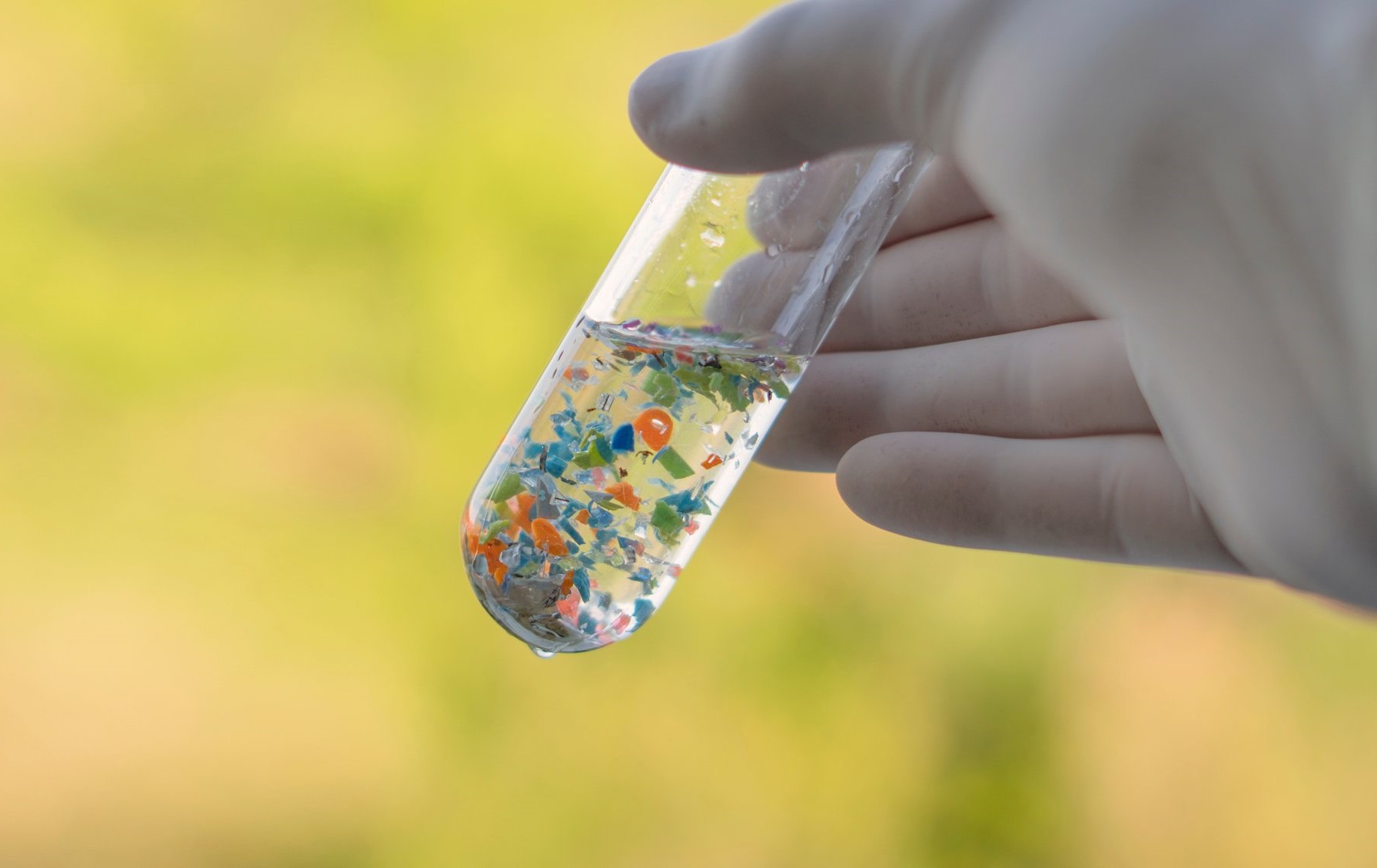 Elevi din Cluj au fost premiați în Ungaria: Ce robot inovator au creat tinerii