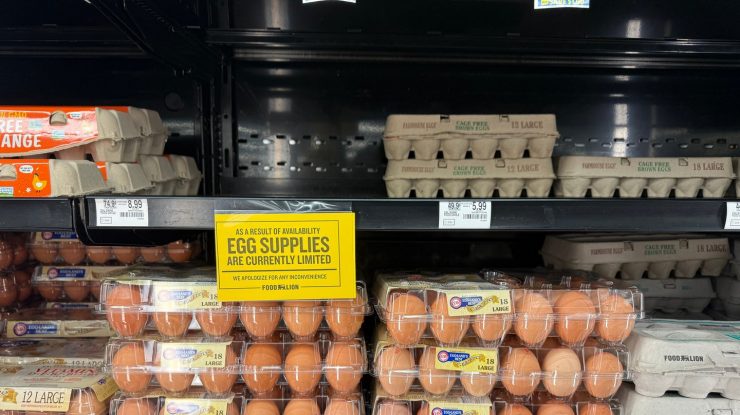 Statele Unite ale Americii sunt la vânătoare de ouă în Europa: Prețul a atins un nou record