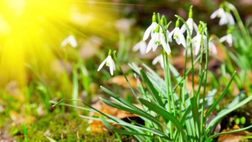 Amiaza aduce vreme mai caldă cu 15°C față de normal. Maximele urcă la 23°C în sud-vest