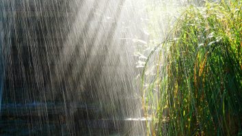 După o săptămână de vară, weekend-ul îți aduce vreme normală pentru finalul lunii aprilie