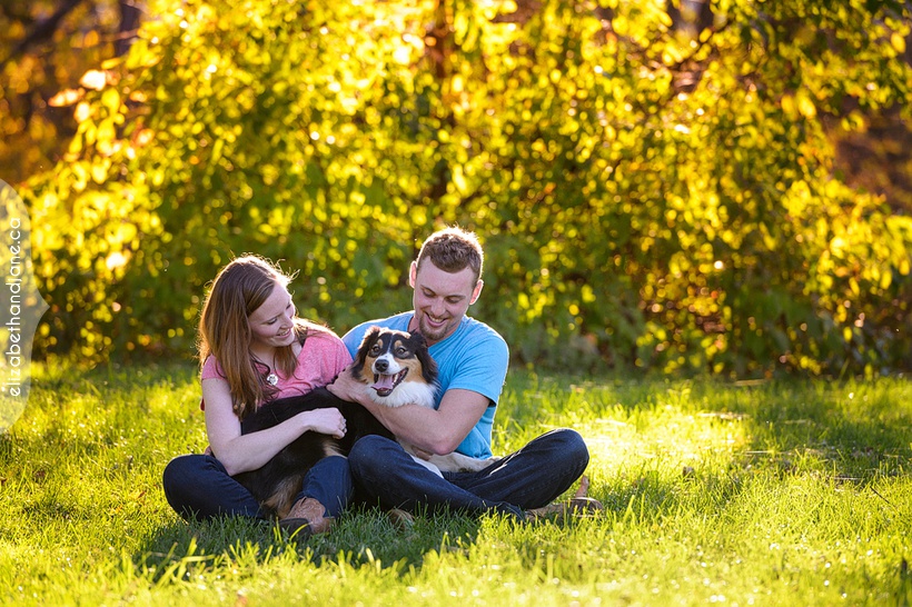 Un animal de companie aduce fericirea sumei de 80.000$. România e pe primul loc la capitolul familiilor care au un câine sau o pisică