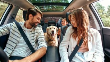 STUDIU. Oamenii sunt mai mulțumiți de animale decât de ființele umane. Cristina Chicuș, psiholog clinician la Asociația Happy Minds: „Eelația este una bazată pe loialitate”