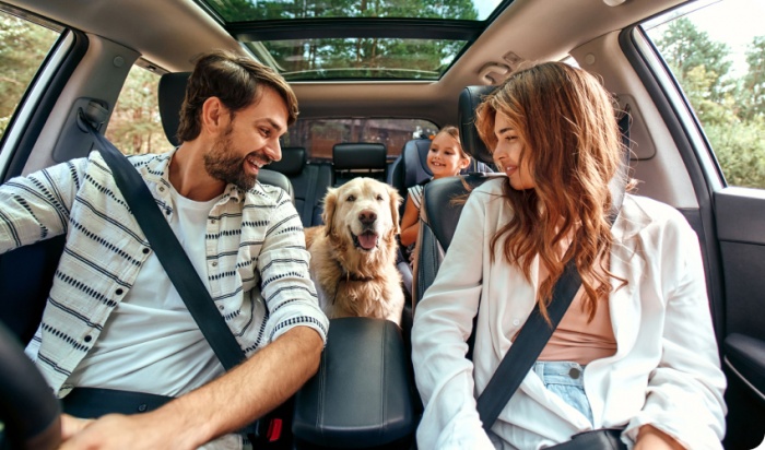 STUDIU. Oamenii sunt mai mulțumiți de animale decât de ființele umane. Cristina Chicuș, psiholog clinician la Asociația Happy Minds: „Eelația este una bazată pe loialitate”