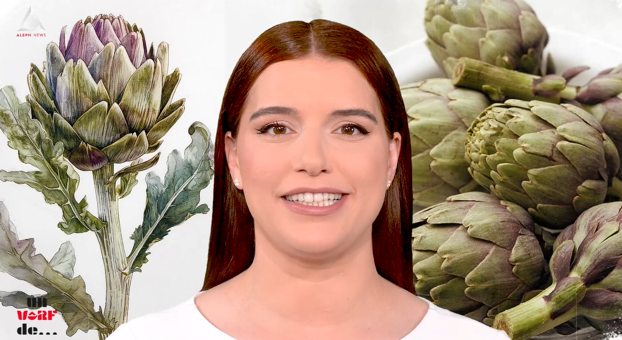 Un vârf de…Anghinare