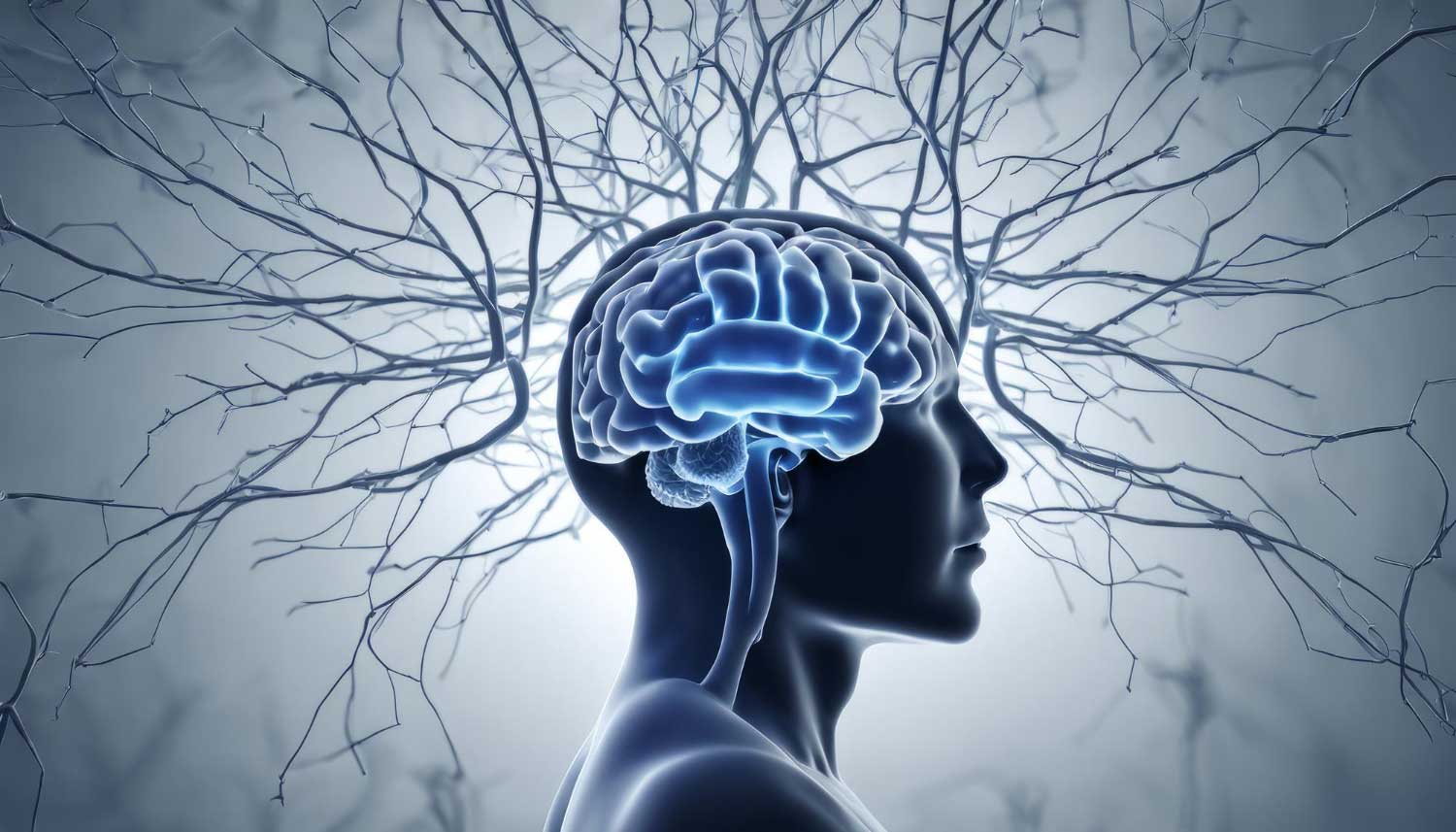 Creierul uman are mai multe tipuri de memorie. De ce unele persoane uită nume sau întâlniri importante