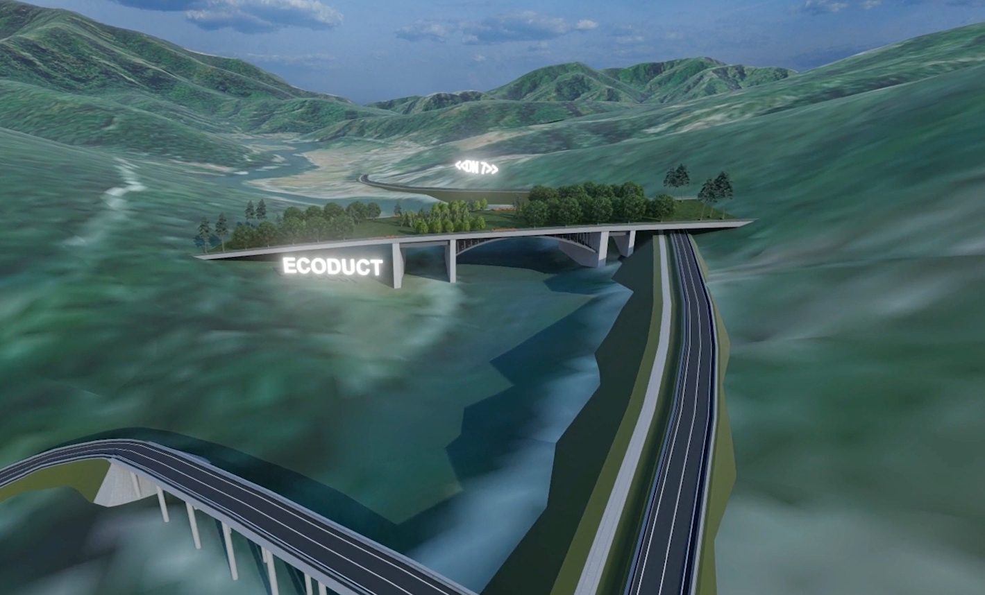 România construiește cel mai mare pod ecologic din țară. Alex Găvan, activist de mediu: „Lucrurile acestea ar trebui să devină normale”