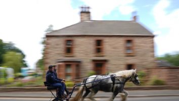 E orășelul unde „regii șoselelor” preferă caii pur-sânge: Un grup de călători cu trăsuri au provocat haos în Surrey