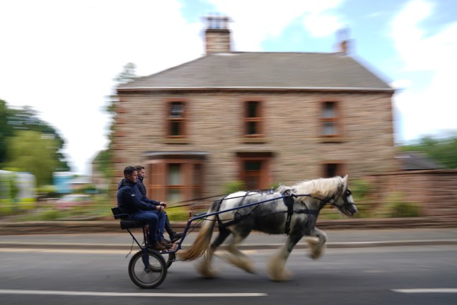 E orășelul unde „regii șoselelor” preferă caii pur-sânge: Un grup de călători cu trăsuri au provocat haos în Surrey