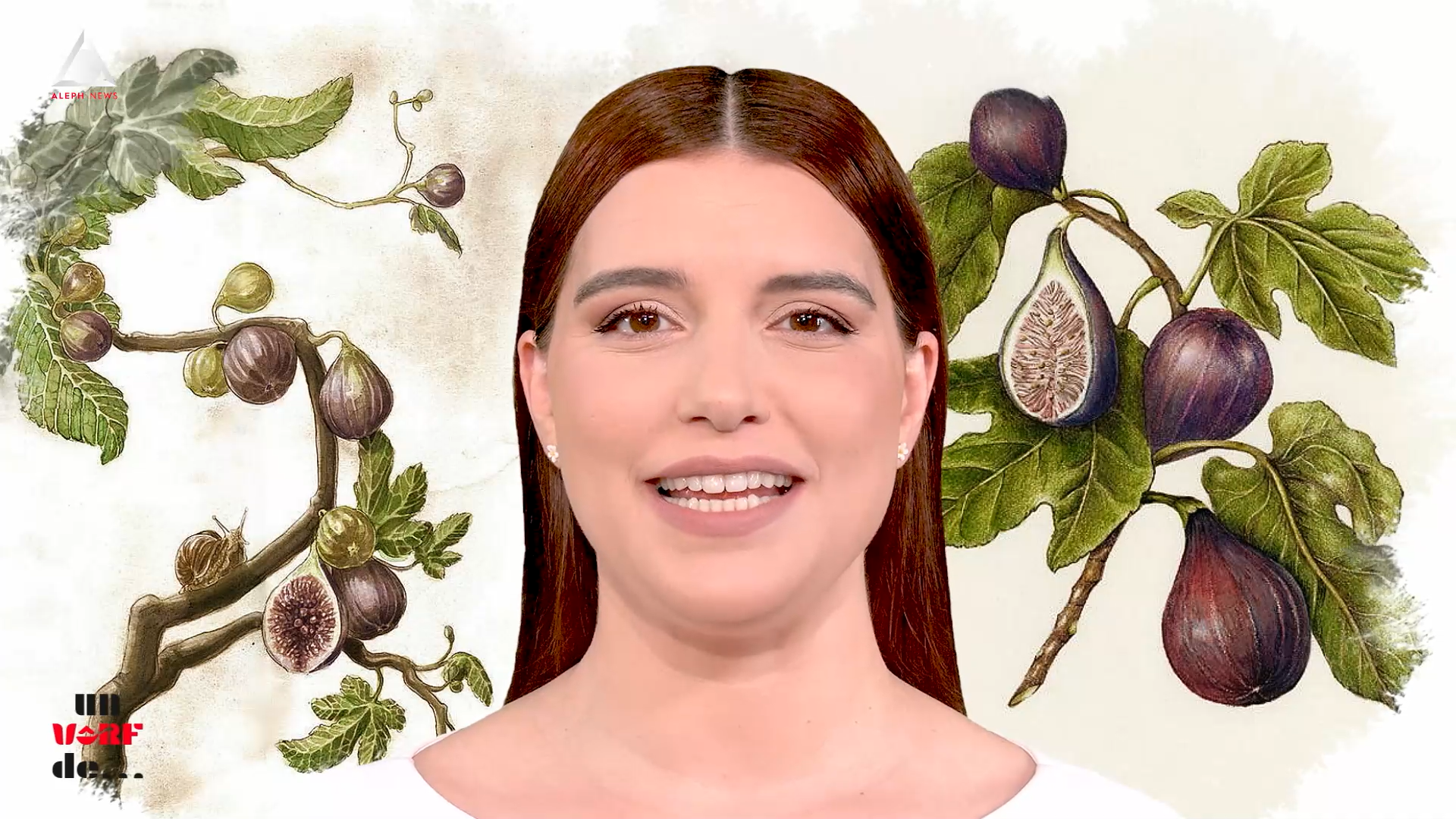 Un vârf de… Smochinul