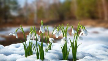 Primăvara mai are de așteptat: Aerul arctic cuprinde toată România