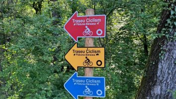 Trei trasee de biciclete, cu lungimea totală de 17 km, au fost deschise în Pădurea Băneasa. Rutele sunt marcate după dificultate