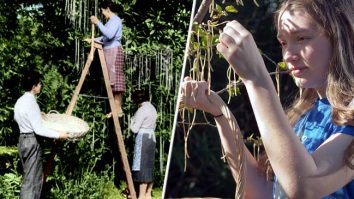 Farse celebre făcute de 1 aprilie de-a lungul anilor. BBC a convins britanicii că spaghetele cresc în copaci