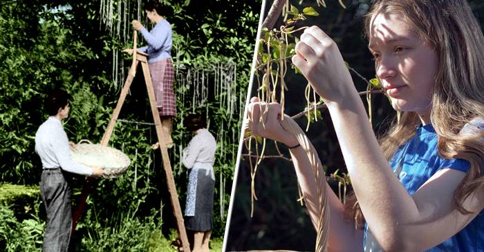 Farse celebre făcute de 1 aprilie de-a lungul anilor. BBC a convins britanicii că spaghetele cresc în copaci