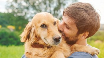 Câinii sunt mai apreciați decât cele mai apropiate persoane. Cercetătorii zic că patrupedul e prieten, coleg și terapeut