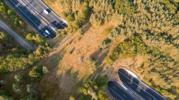 Cel mai mare pod din România va fi pentru animale: Încep lucrările la primul Ecoduct