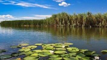 România este recunoscută și peste hotare. National Geographic a realizat un articol despre peisajele de poveste ale Deltei Dunării