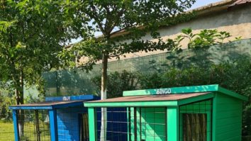 Compania Edomestic creează căsuțe smart pentru animale. Următorul model promite să-ți îngrijească patrupedul timp de cinci zile, fără intervenția umană