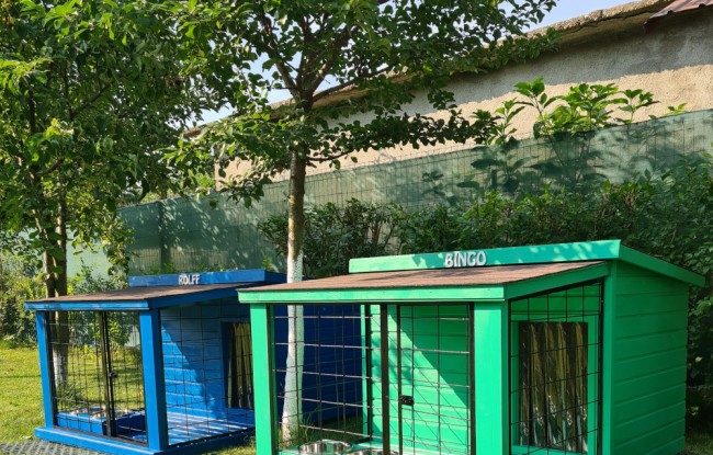 Compania Edomestic creează căsuțe smart pentru animale. Următorul model promite să-ți îngrijească patrupedul timp de cinci zile, fără intervenția umană