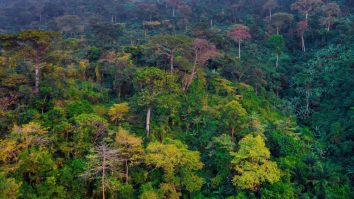 Timp de 5 ani, sonda Biomass va analiza pădurile tropicale din Africa, Asia și America de Sud și va realiza hărți 3D cu toată vegetația