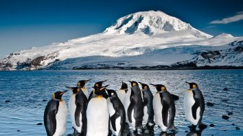 Trump le declară război comercial și pinguinilor. Președintele SUA a impus tarife reciproce asupra unor Insule din apropierea Antarcticii, cu populație umană zero