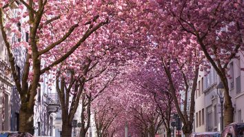 Vara se instalează în toată țara. În București, te așteaptă o săptămână foarte caldă, cu 30-34°C