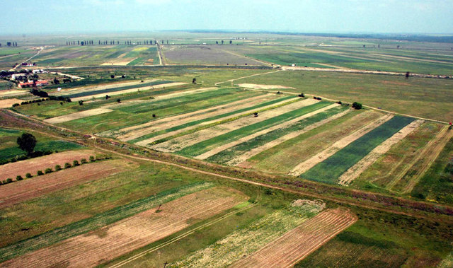 Cetățenii străini dețin 2.800 ha de terenuri agricole în România. În patru ani, suprafaţa de teren a lor a crescut cu 33%