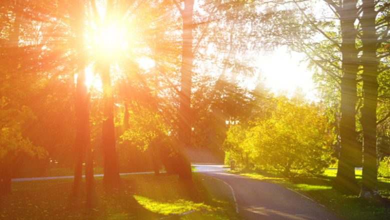 Te bucuri de încă o amiază foarte caldă: În Capitală se vor resimți 29°C. Cum va fi vremea în weekend?