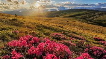 E aproape vară în mare parte din țară. În Banat și Crișana, prognoza arată chiar și 30 de grade