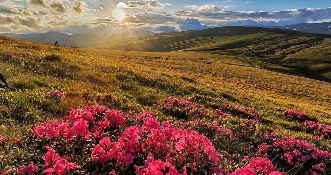 E aproape vară în mare parte din țară. În Banat și Crișana, prognoza arată chiar și 30 de grade