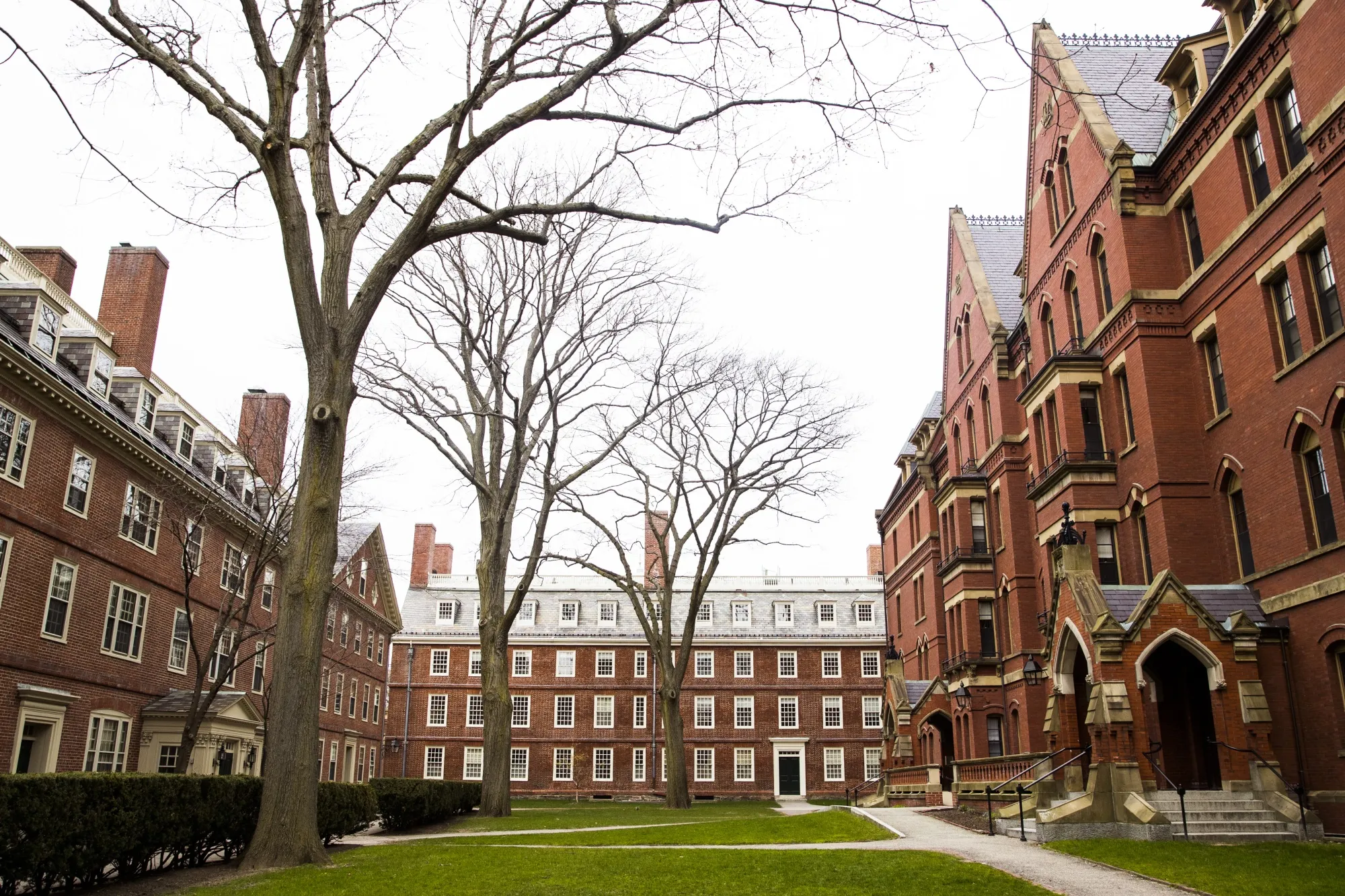 Universitatea Harvard dă în judecată Administraţia Trump, după ce i-a interzis să primească studenţi străini