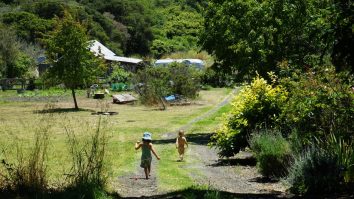 Un cercetător a „întinerit” 10 ani după ce a locuit în pădure: Bărbatul a renunțat la obiectele din plastic