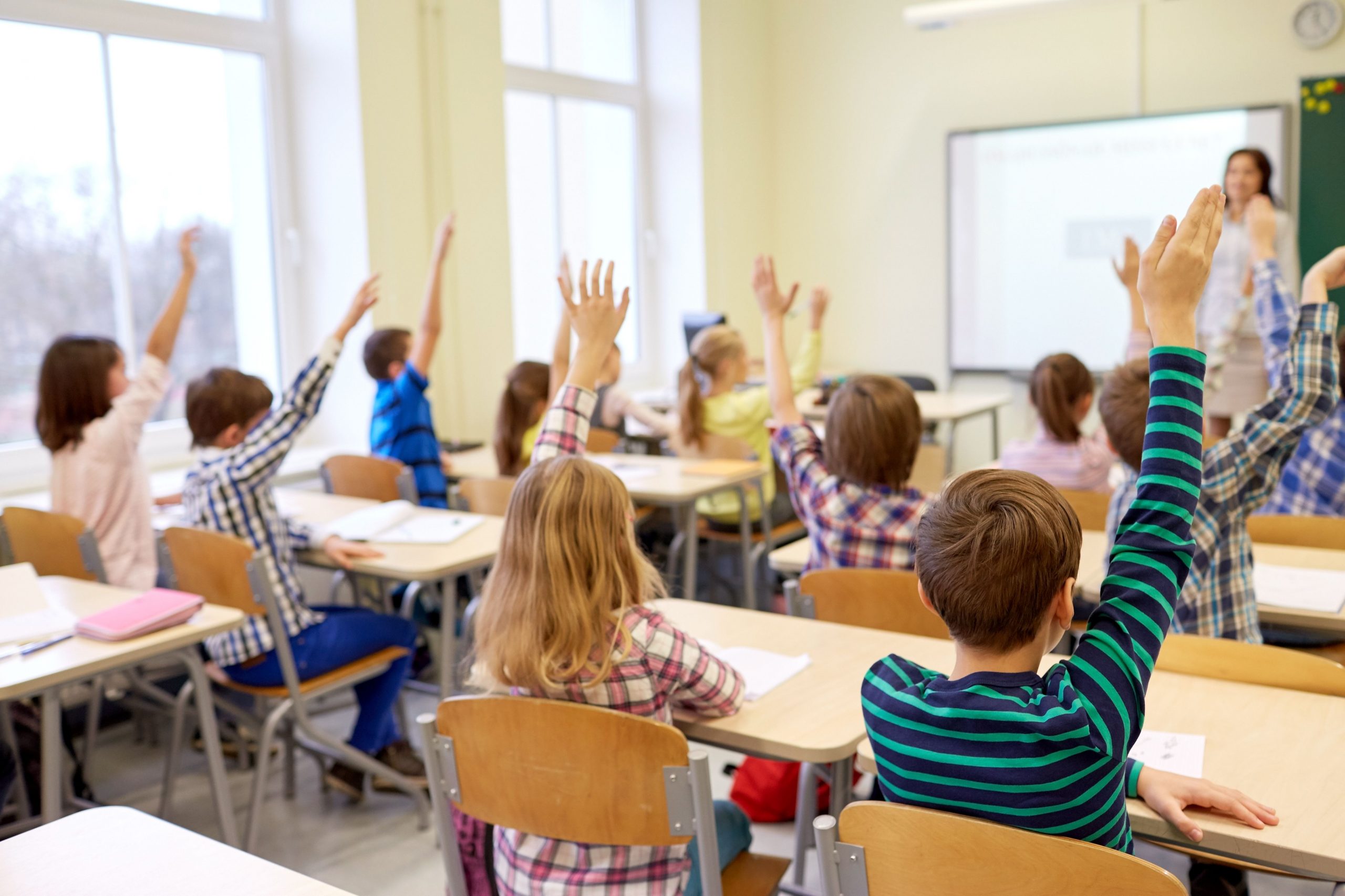 Elevii din clasele II-IV învață cum să evite pericolele pe stradă și în online. Daniela Vișoianu, expert în Educație: „În școală e nevoie de experiențe de învățare”