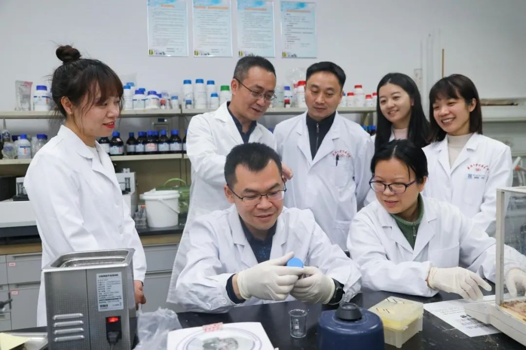 Cercetătorii chinezi au dezvoltat un plasture pentru organe, care facilitează administrarea medicamentelor