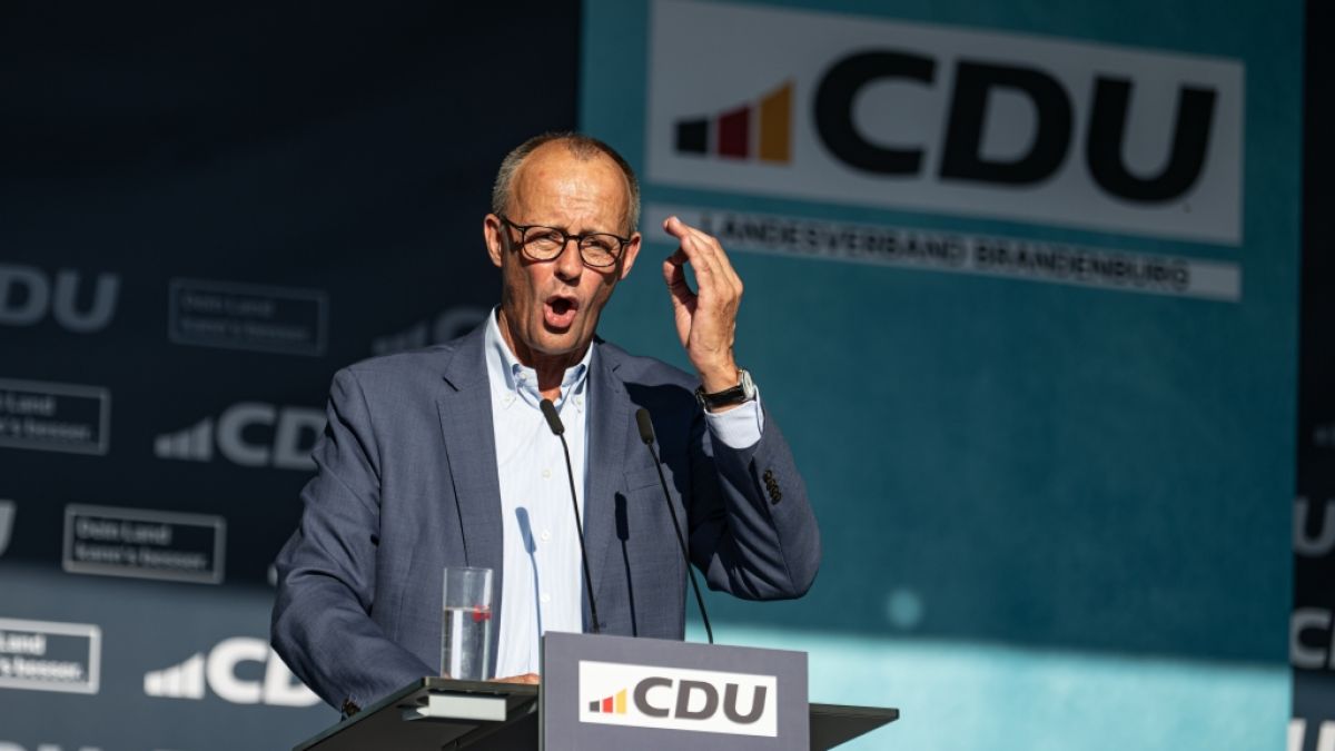 Friedrich Merz a câștigat al doilea tur de scrutin pentru a deveni cancelar al Germaniei, după eșecul din cursul zilei