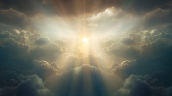 Universitatea Calgary: „Toate ființele vii emit o strălucire fantomatică”. Cum explică cercetătorii acest fenomen