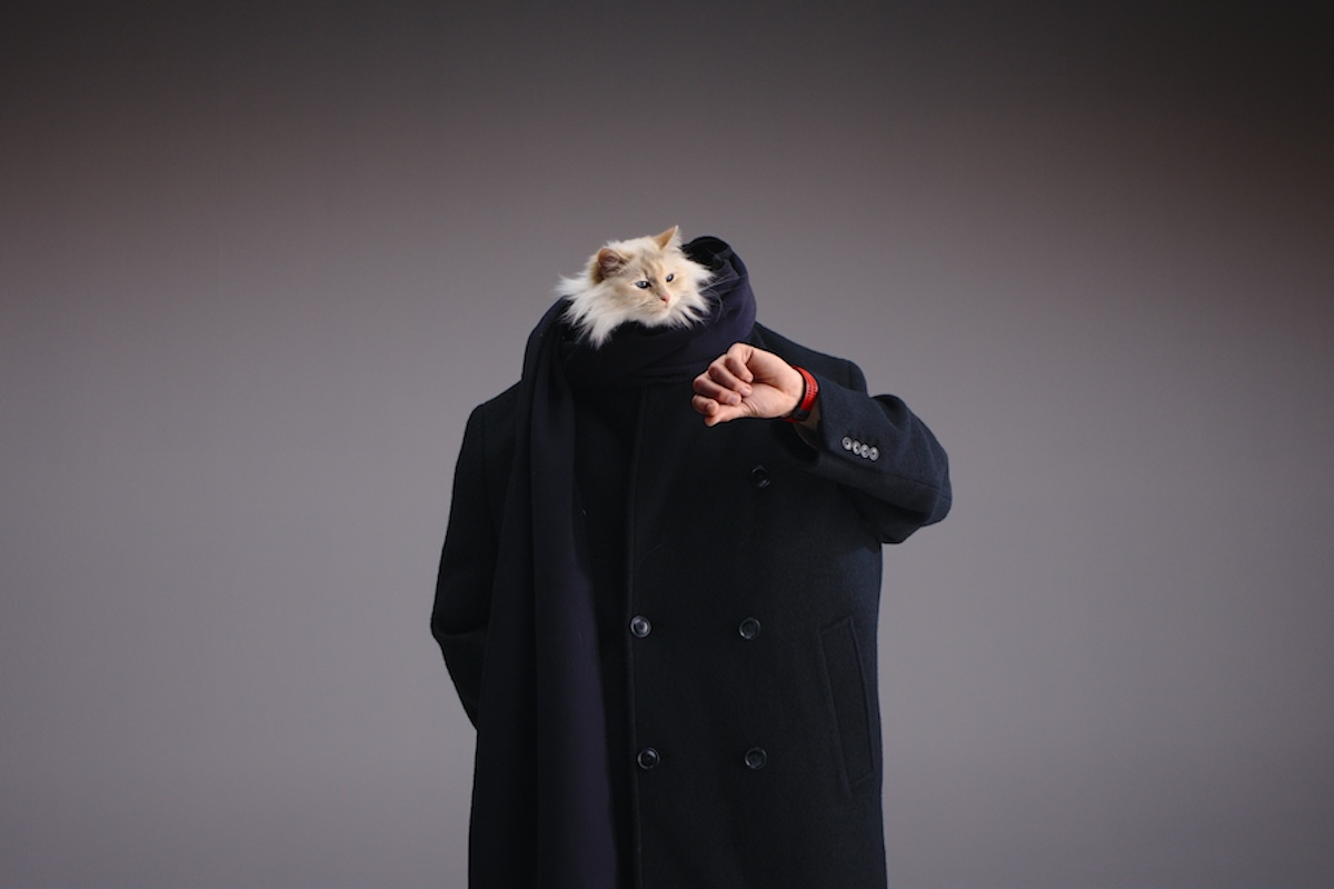 FOTO. Choupette, pisica lui Karl Lagerfeld, este imaginea campaniei Hublot Big Bang