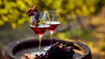Revino Wine Show transformă Bucureștiul în capitala degustării vinului. Alina Iancu, somelier și organizator: „Cel mai bun vin este cel care ne place”