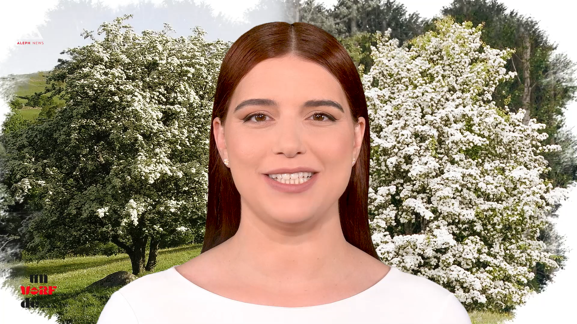 Un vârf de… Păducel