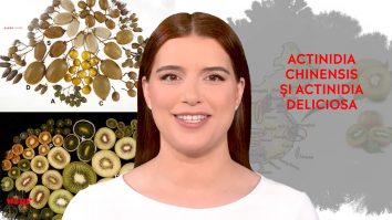 Un vârf de… Kiwi