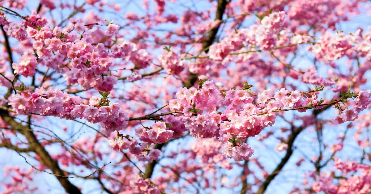 Cum e vremea mâine la vot? Te așteaptă temperaturi de până la 32 de grade, dar ploile se apropie